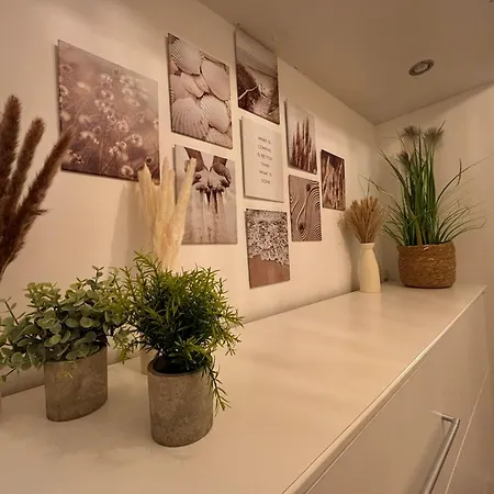Boho Livings Station